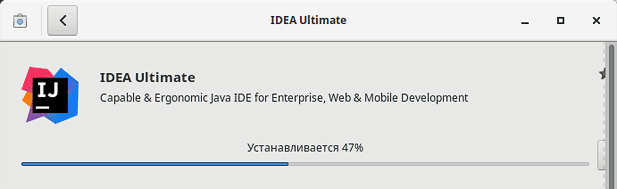 Установка IntelliJ IDEA из Центра программного обеспечения (Рекомендуется для Ubuntu)