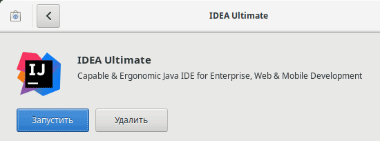 Установка IntelliJ IDEA из Центра программного обеспечения (Рекомендуется для Ubuntu)