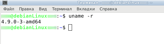 Как узнать версию ядра Linux