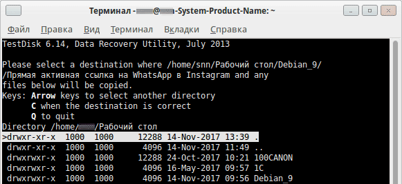 Восстановление данных. Программа TestDisk