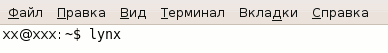 Текстовой браузер Lynx запускается только в консоли Текстовой браузер Lynx запускается только в консоли