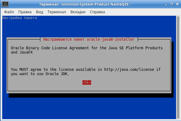 Установка OracleJDK8