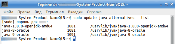 Установка Oracle JDK 9