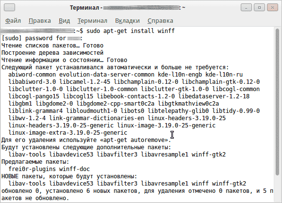 Терминал - программа winff