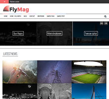 FlyMag